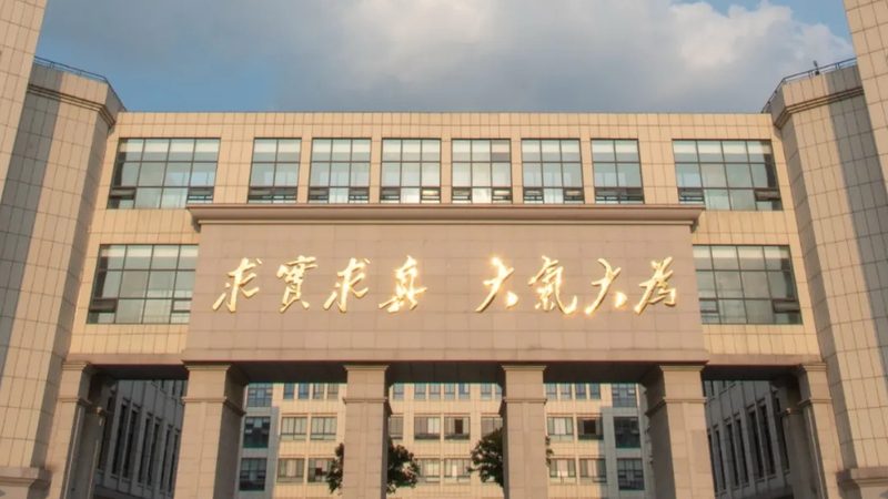 国产芯片加盟政策咨询：企业参与新机遇的关键要素**