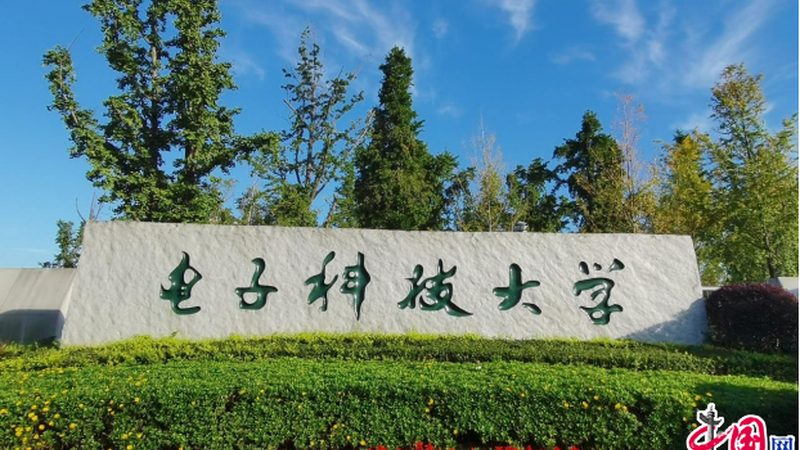 揭秘 PCB 电路板厂家对比评测的关键因素